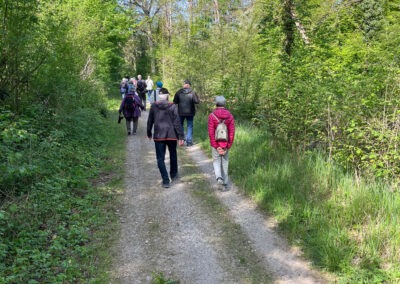 Allmend Frauenfeld